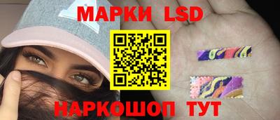 индика Будённовск
