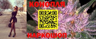 индика Будённовск
