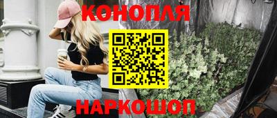 индика Будённовск