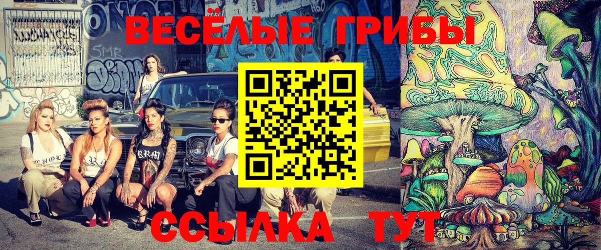 Галлюциногенные грибы GOLDEN TEACHER Протвино