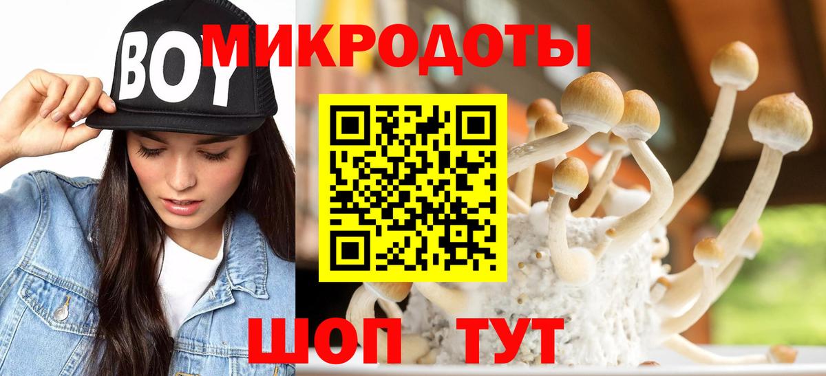 Псилоцибиновые грибы Magic Shrooms  Галлюциногенные грибы мицелий  Протвино  наркотики  Вход с VPN 